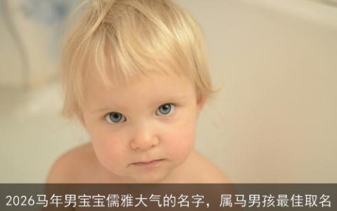 2026马年男宝宝儒雅大气的名字，属马男孩最佳取名