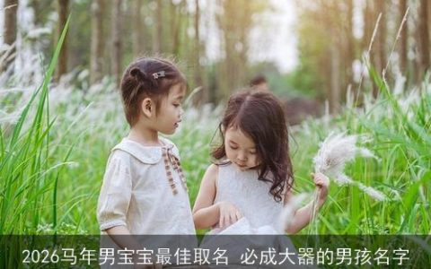 2026马年男宝宝最佳取名 必成大器的男孩名字
