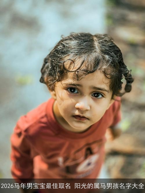 2026马年男宝宝最佳取名 阳光的属马男孩名字大全