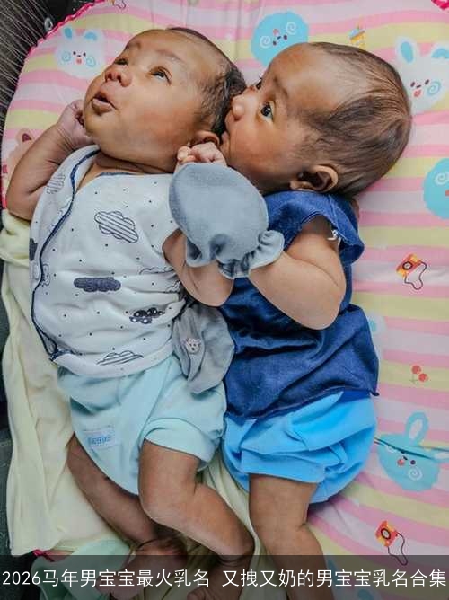2026马年男宝宝最火乳名 又拽又奶的男宝宝乳名合集