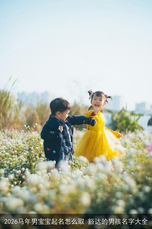 2026马年男宝宝起名怎么取 豁达的男孩名字大全