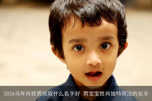 2026马年肖姓男孩取什么名字好 男宝宝姓肖独特简洁的名字