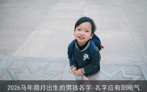 2026马年腊月出生的男孩名字 名字应有阳刚气