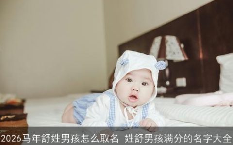 2026马年舒姓男孩怎么取名 姓舒男孩满分的名字大全