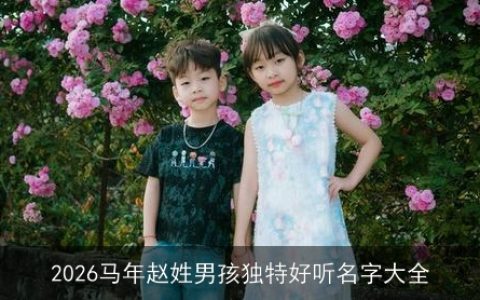 2026马年赵姓男孩独特好听名字大全