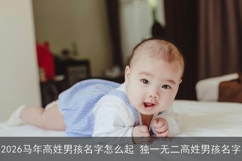 2026马年高姓男孩名字怎么起 独一无二高姓男孩名字