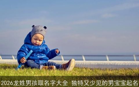 2026龙姓男孩取名字大全 独特又少见的男宝宝起名