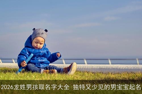 2026龙姓男孩取名字大全 独特又少见的男宝宝起名