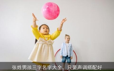 张姓男孩三字名字大全，只要声调搭配好