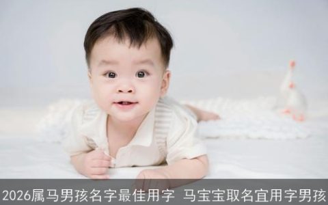 2026属马男孩名字最佳用字 马宝宝取名宜用字男孩