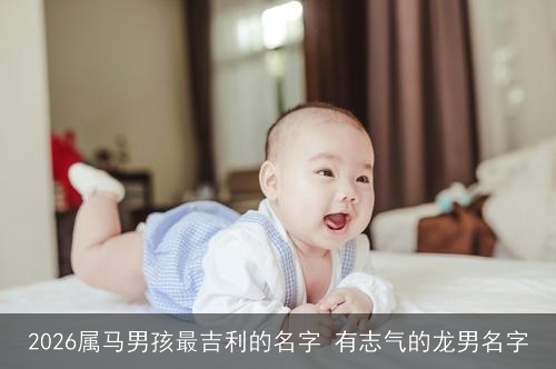 2026属马男孩最吉利的名字 有志气的龙男名字