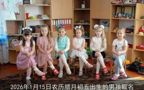 2026年1月15日农历腊月初五出生的男孩取名
