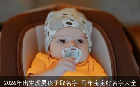 2026年出生虎男孩子取名字 马年宝宝好名字大全