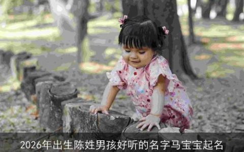 2026年出生陈姓男孩好听的名字马宝宝起名