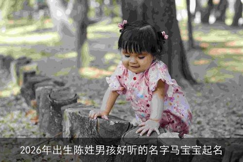 2026年出生陈姓男孩好听的名字马宝宝起名