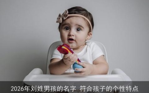 2026年刘姓男孩的名字 符合孩子的个性特点