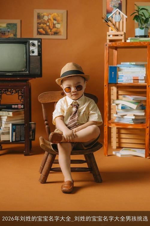 2026年刘姓的宝宝名字大全_刘姓的宝宝名字大全男孩挑选