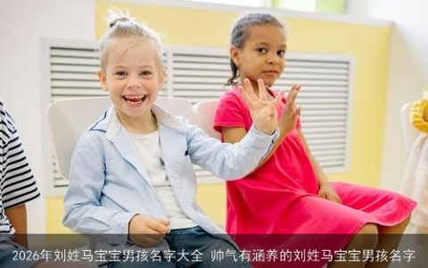 2026年刘姓马宝宝男孩名字大全 帅气有涵养的刘姓马宝宝男孩名字