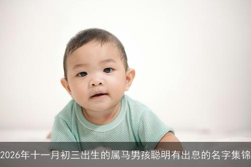 2026年十一月初三出生的属马男孩聪明有出息的名字集锦