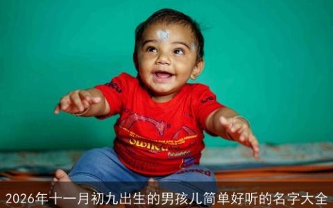 2026年十一月初九出生的男孩儿简单好听的名字大全