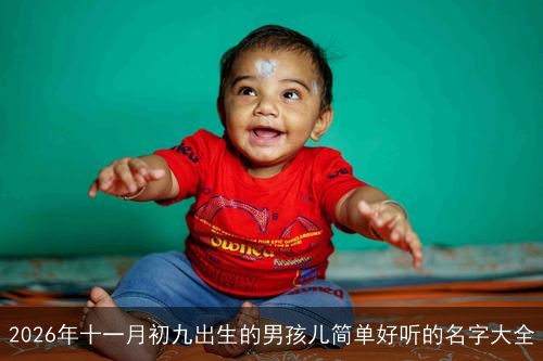 2026年十一月初九出生的男孩儿简单好听的名字大全