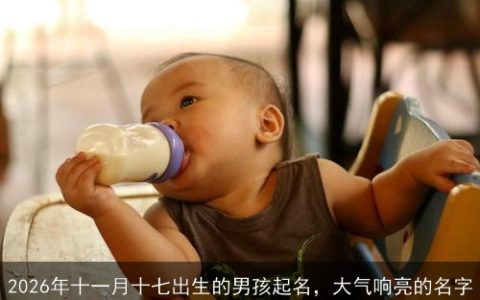 2026年十一月十七出生的男孩起名，大气响亮的名字
