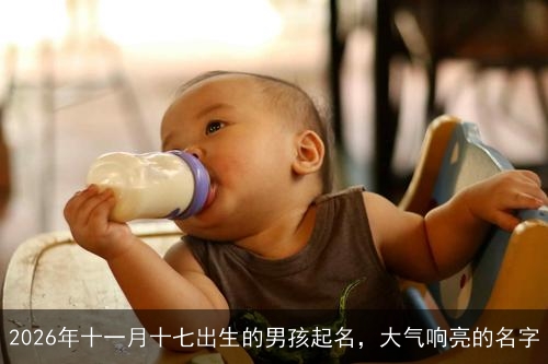 2026年十一月十七出生的男孩起名，大气响亮的名字