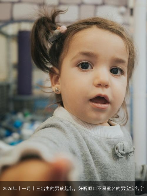2026年十一月十三出生的男孩起名，好听顺口不易重名的男宝宝名字