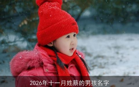 2026年十一月姓蔡的男孩名字