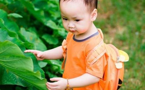 2026年十月罗氏辈男孩取名 男新生儿姓罗取大气名字