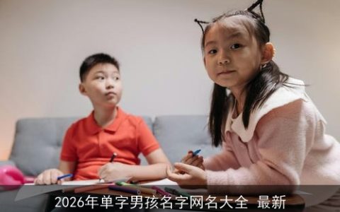 2026年单字男孩名字网名大全 最新