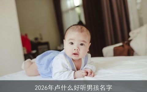2026年卢什么好听男孩名字