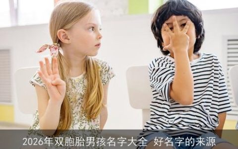 2026年双胞胎男孩名字大全 好名字的来源