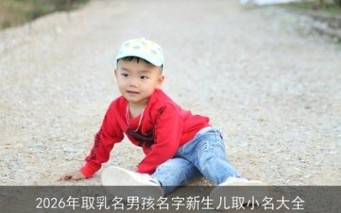 2026年取乳名男孩名字新生儿取小名大全