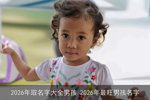 2026年取名字大全男孩 2026年最旺男孩名字