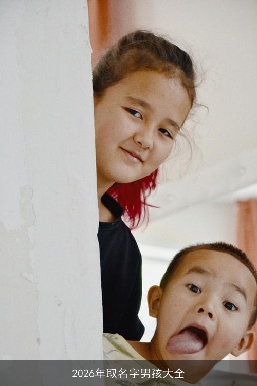 2026年取名字男孩大全