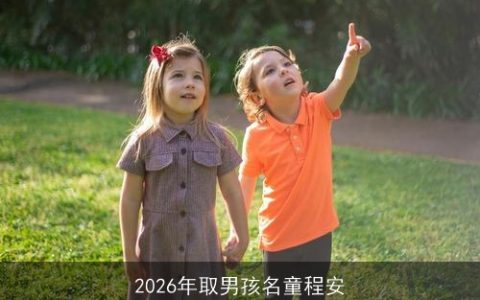 2026年取男孩名童程安