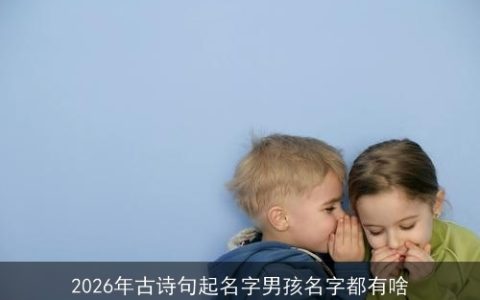 2026年古诗句起名字男孩名字都有啥