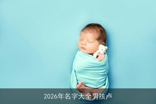 2026年名字大全男孩卢