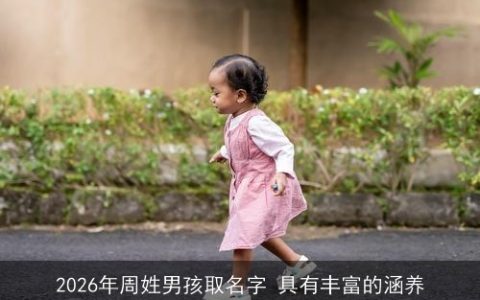 2026年周姓男孩取名字 具有丰富的涵养