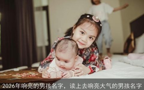 2026年响亮的男孩名字，读上去响亮大气的男孩名字
