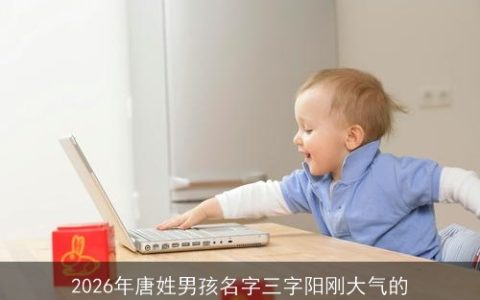 2026年唐姓男孩名字三字阳刚大气的