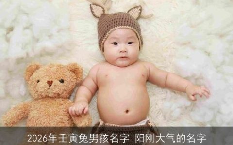 2026年壬寅兔男孩名字 阳刚大气的名字