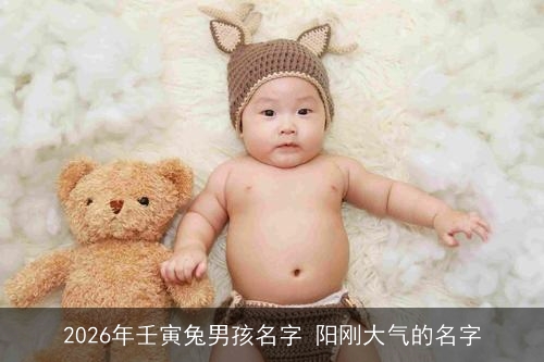 2026年壬寅兔男孩名字 阳刚大气的名字
