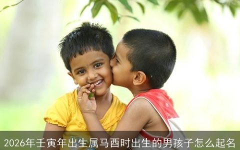 2026年壬寅年出生属马酉时出生的男孩子怎么起名