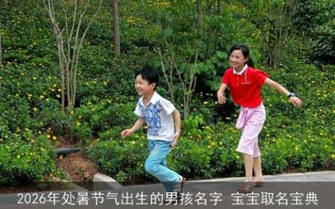 2026年处暑节气出生的男孩名字 宝宝取名宝典