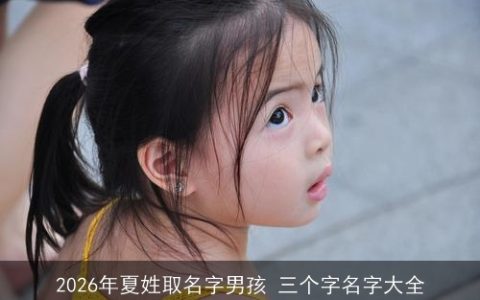 2026年夏姓取名字男孩 三个字名字大全