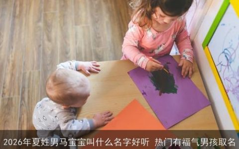 2026年夏姓男马宝宝叫什么名字好听 热门有福气男孩取名