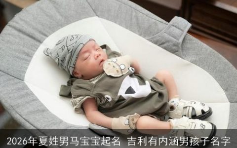 2026年夏姓男马宝宝起名 吉利有内涵男孩子名字