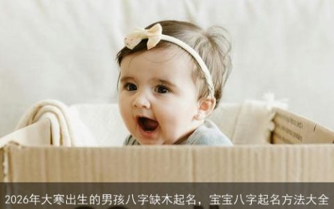 2026年大寒出生的男孩八字缺木起名，宝宝八字起名方法大全